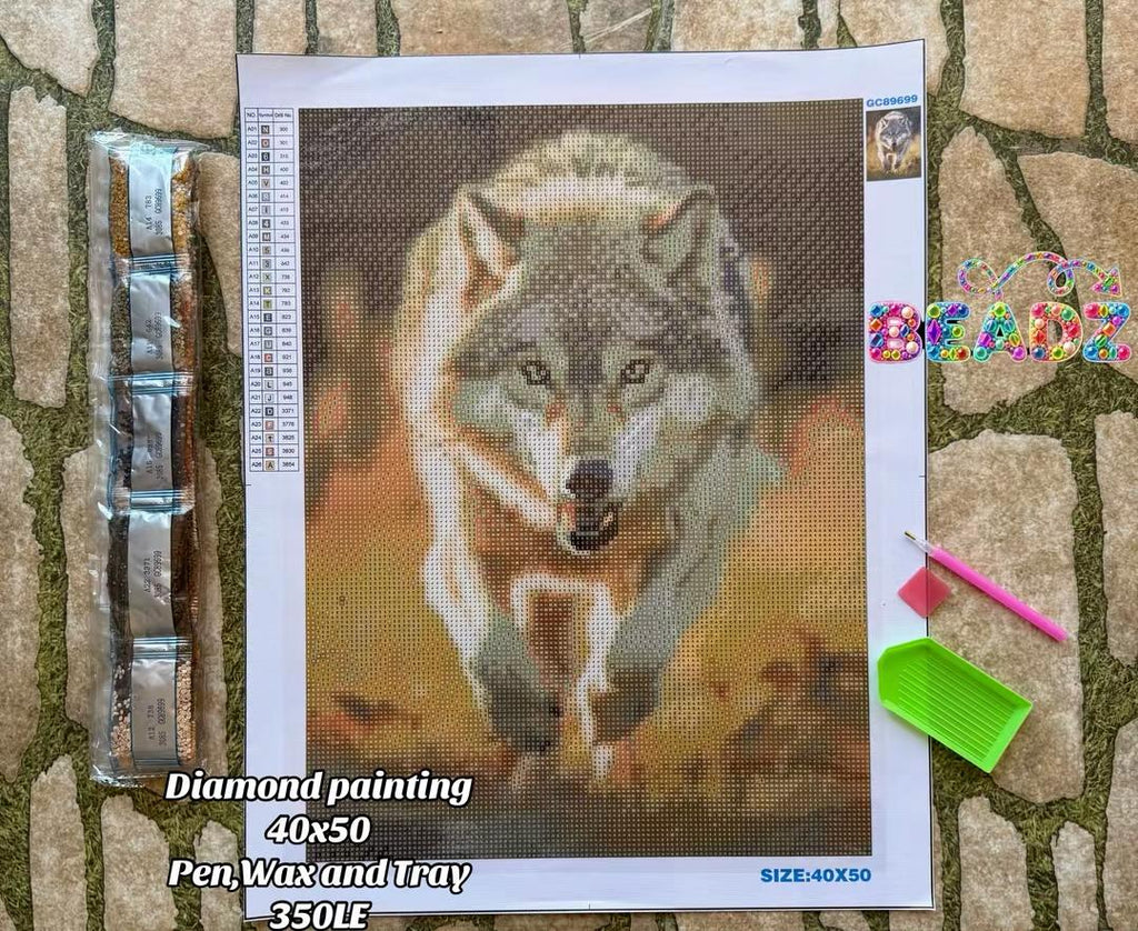 الرسم بالماس 40×50