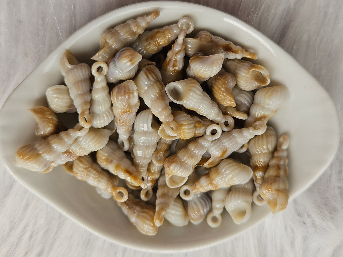 Sea beadz  خرز بحر