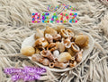 خرز البحر
